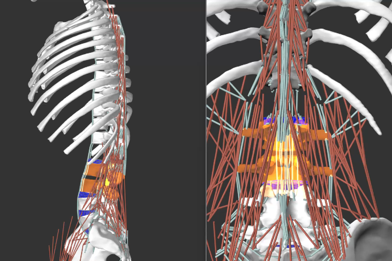 2025 These MLPissionnier