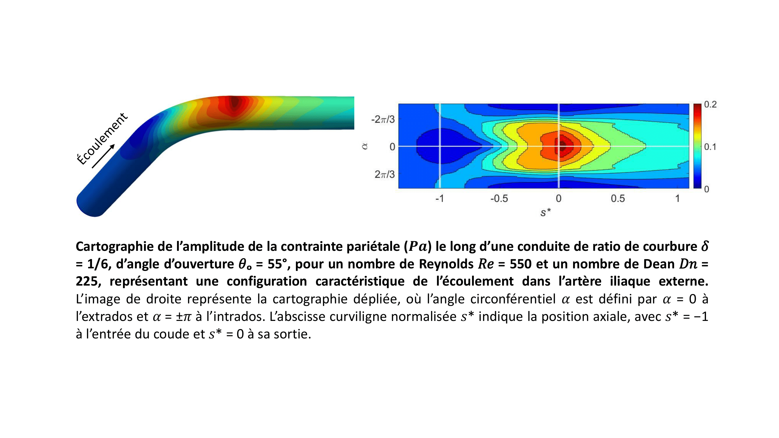 2025 illustration these YulingCHEN