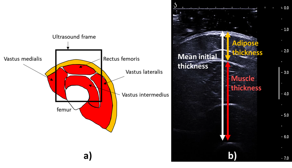 ImageThèse SEGAIN Alexandre