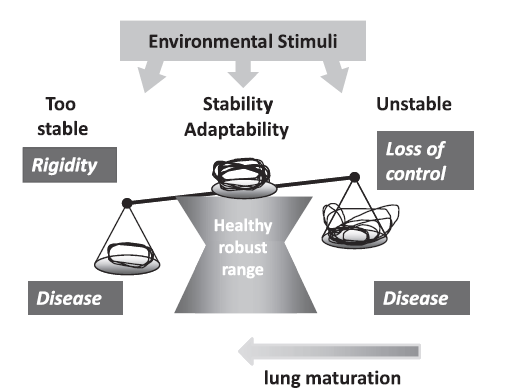 Figure 2 : Modèle de l'homéostasie en matière de santé (d’après [7]) du point de vue de la théorie du chaos.